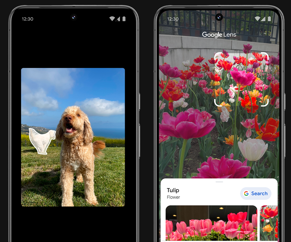 Alternativas a la función Limpiar de Apple Intelligence - Google Photos