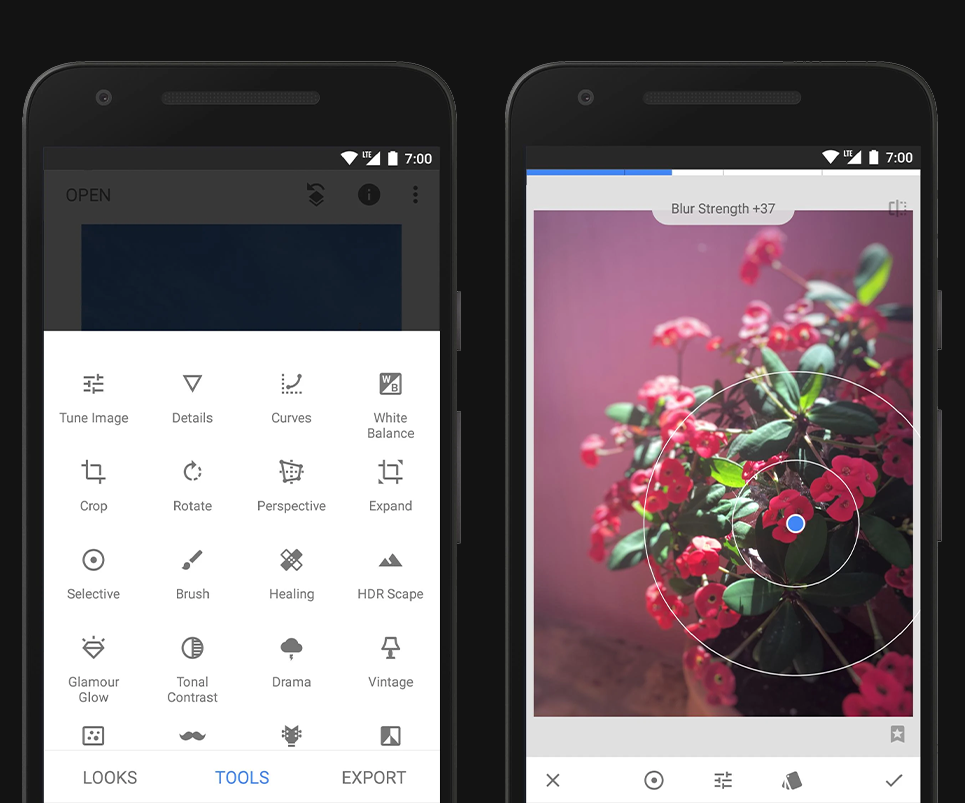 Alternativas a la función Limpiar de Apple Intelligence - Snapseed