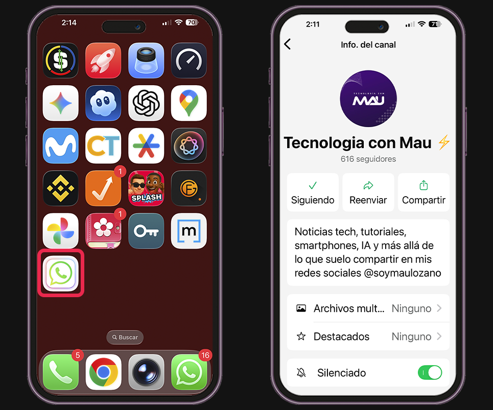 Cambiar el icono de WhatsApp en tu iPhone - Disfruta tu nuevo icono