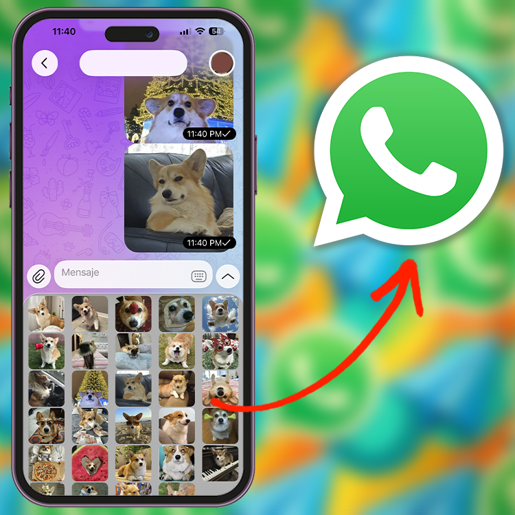 Cómo usar stickers de Telegram en WhatsApp fácil