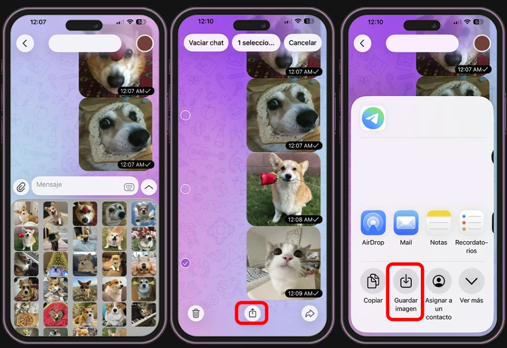 Stickers de Telegram en WhatsApp - Descarga los stickers desde Telegram