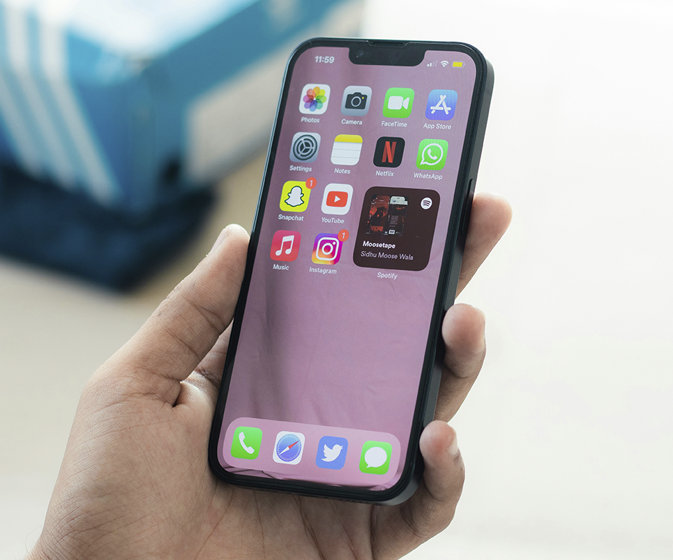 Razones por las que un iPhone se bloquea - Componentes internos