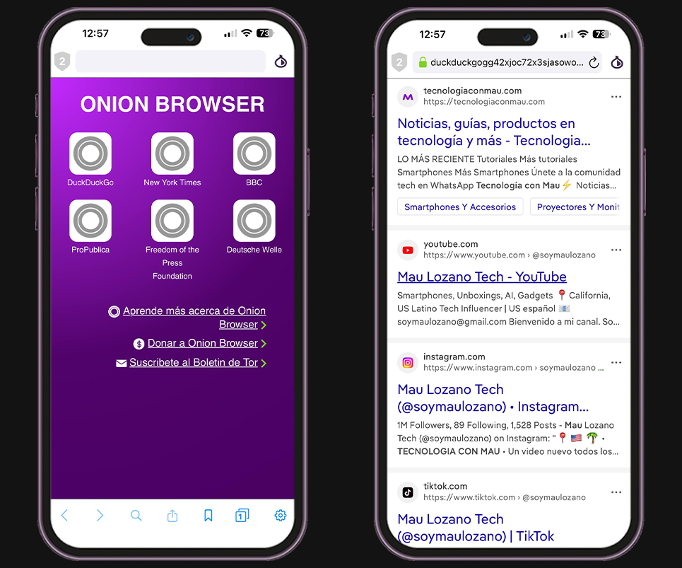 Navegadores privados para iPhone - Onion Browser