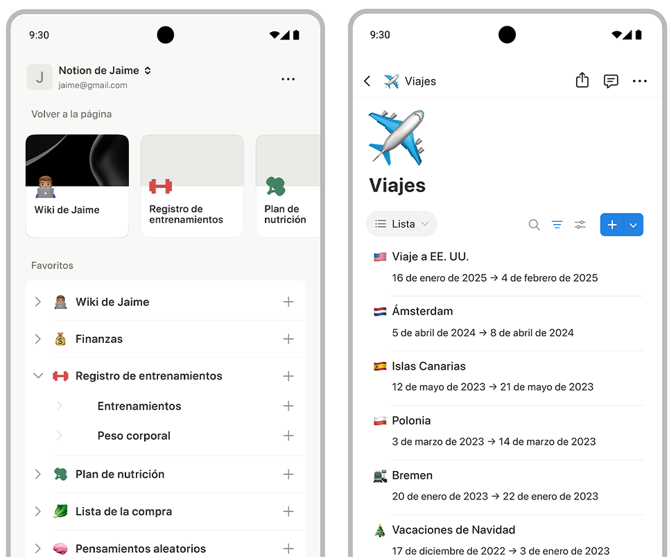Notion Plus