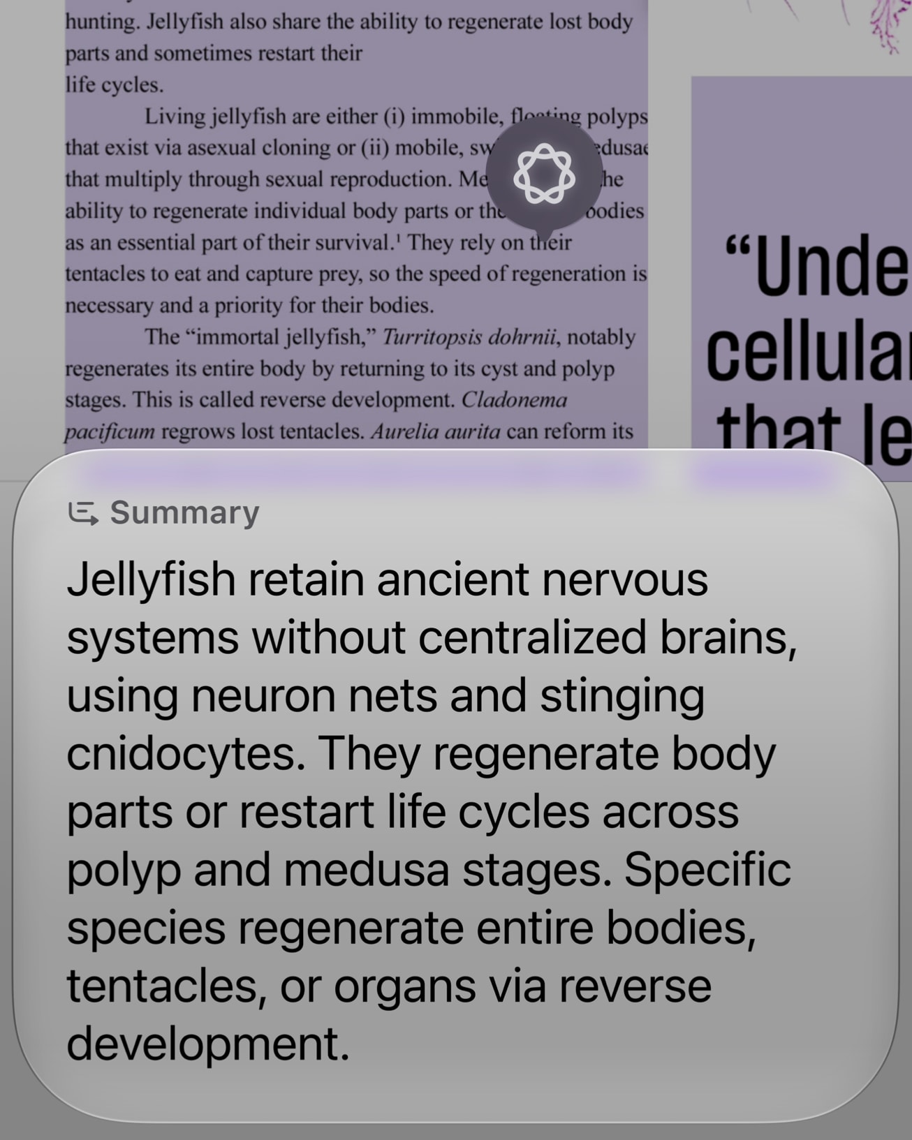 Siri AI comprendiendo el contenido que aparece en pantalla