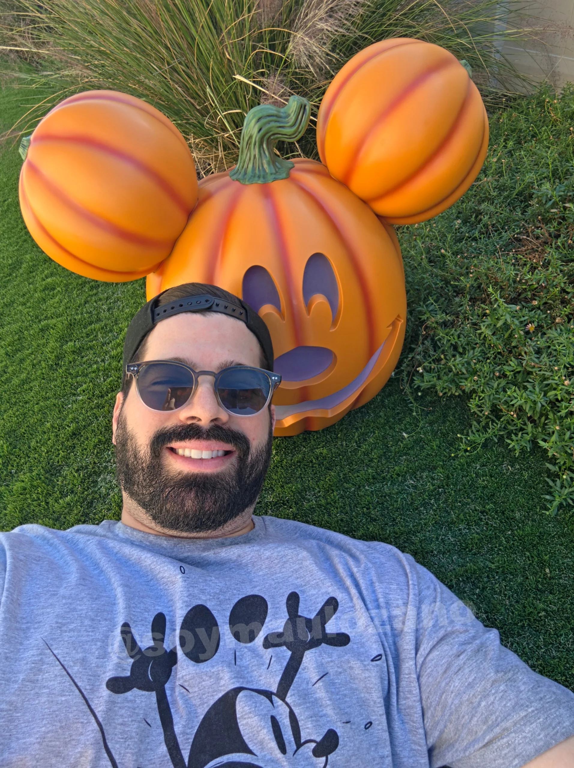 Mau junto a una calabaza en el patio de su casa, muestra de cámara interna tomada con Galaxy Z Fold 8.