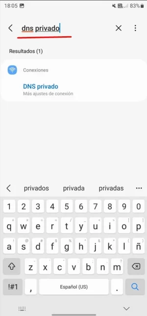 Accede al DNS privado